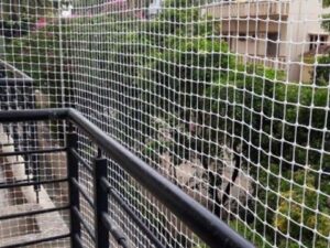 Bird Spikes Invisible Grills